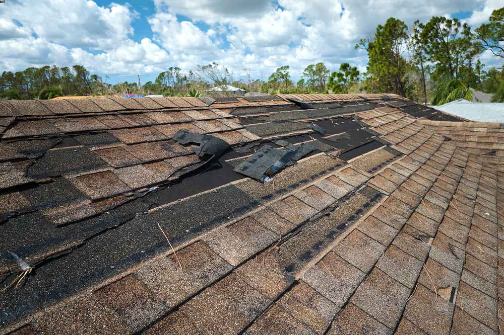 trusted storm damage repair expert