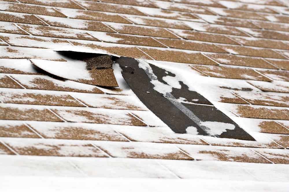 asphalt shingle roof damage in Lexington KY
