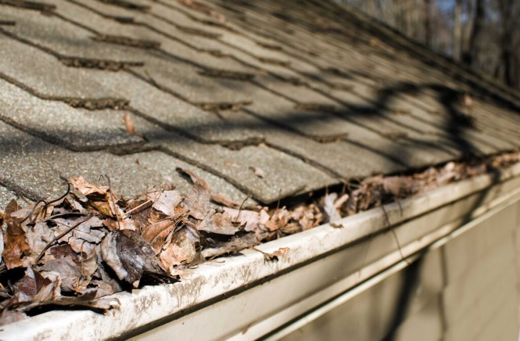 gutter drainage issues in Georgetown